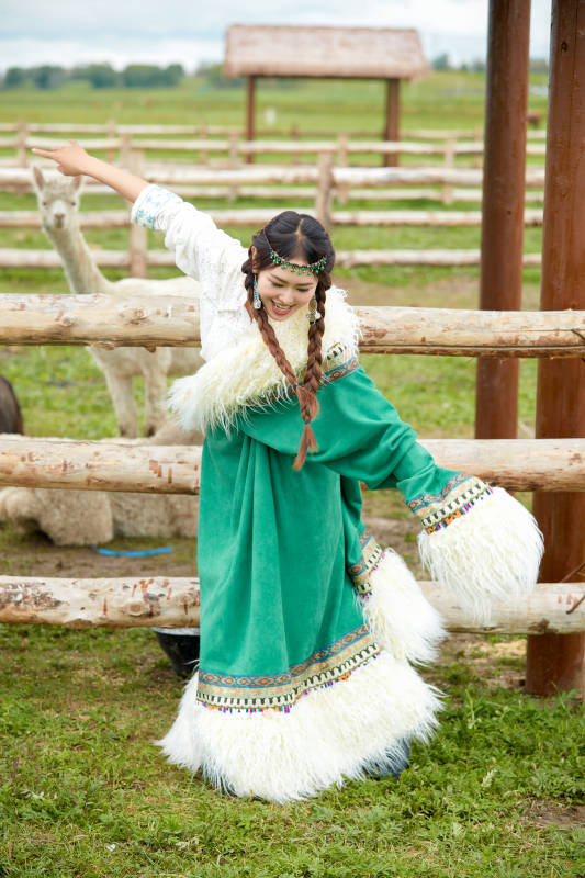 穿藏族服饰的姑娘在羊驼饲养基地拍照