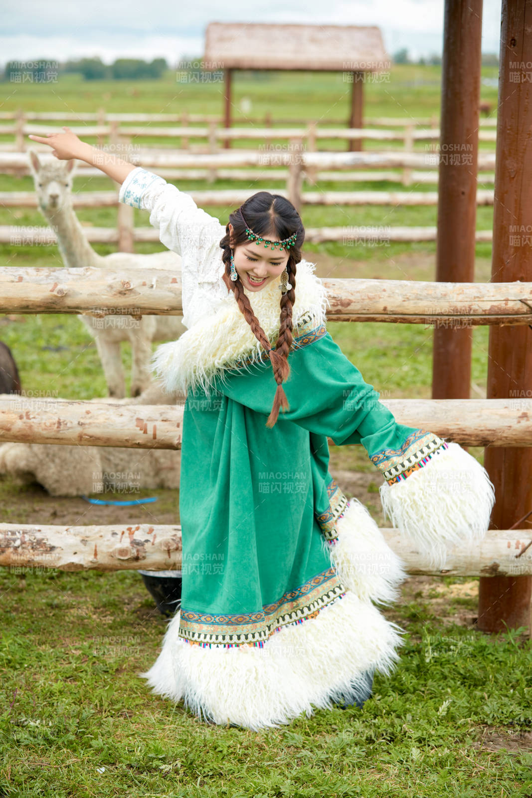 穿藏族服饰的姑娘在羊驼饲养基地拍照