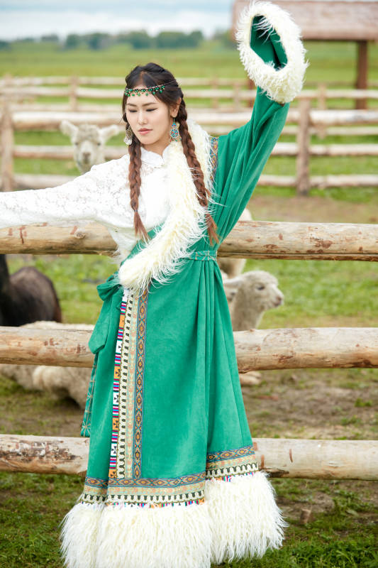 穿藏族服饰的姑娘在羊驼饲养基地拍照