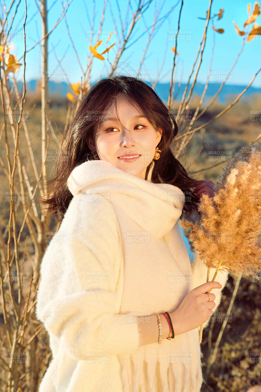 秋天午后在金灿灿的芦苇荡里的亚洲美女