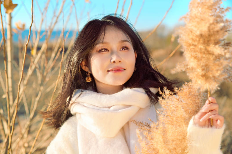 秋天午后在金灿灿的芦苇荡里的亚洲美女