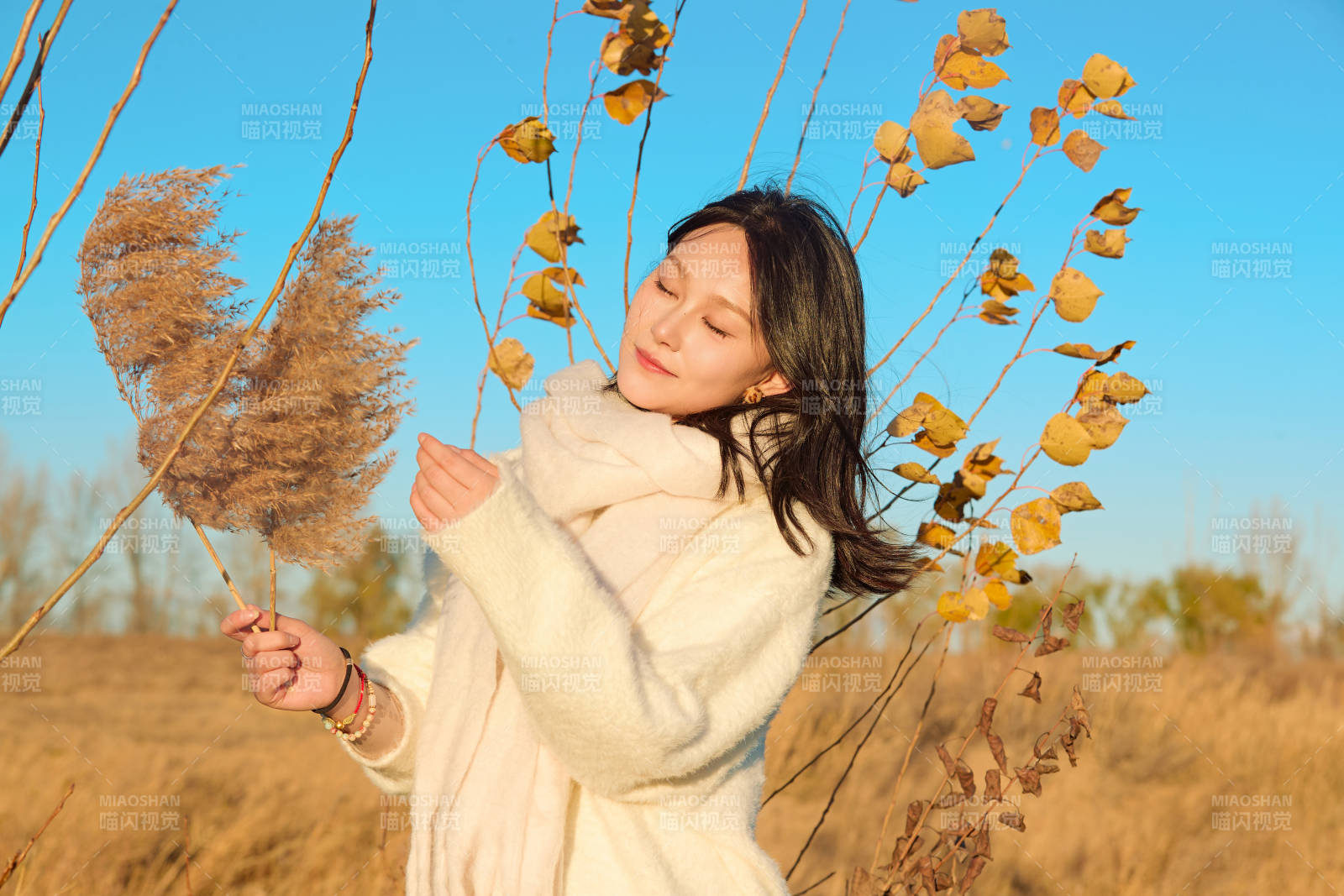秋天午后在金灿灿的芦苇荡里的亚洲美女