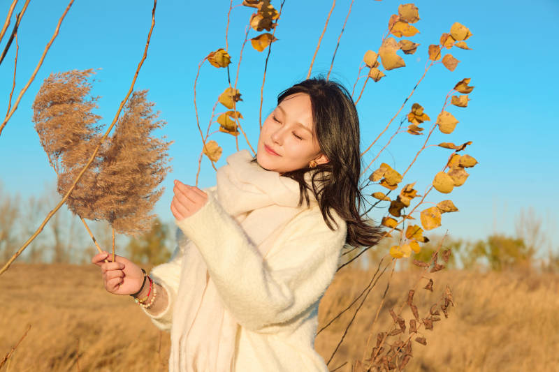 秋天午后在金灿灿的芦苇荡里的亚洲美女