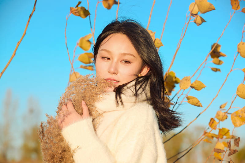 秋天午后在金灿灿的芦苇荡里的亚洲美女