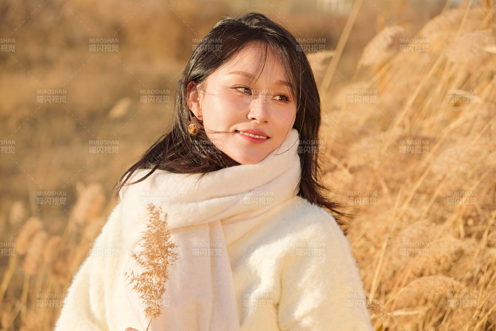 秋天午后在金灿灿的芦苇荡里的亚洲美女