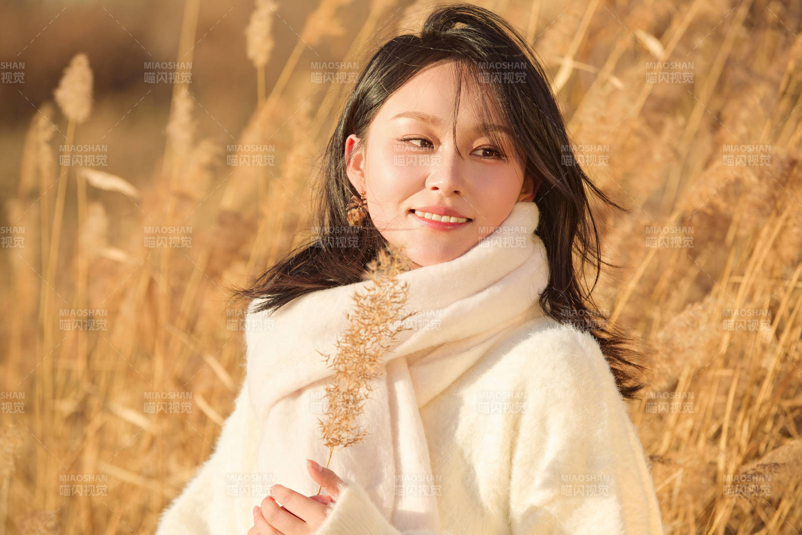 秋天午后在金燦燦的蘆葦蕩里的亞洲美女