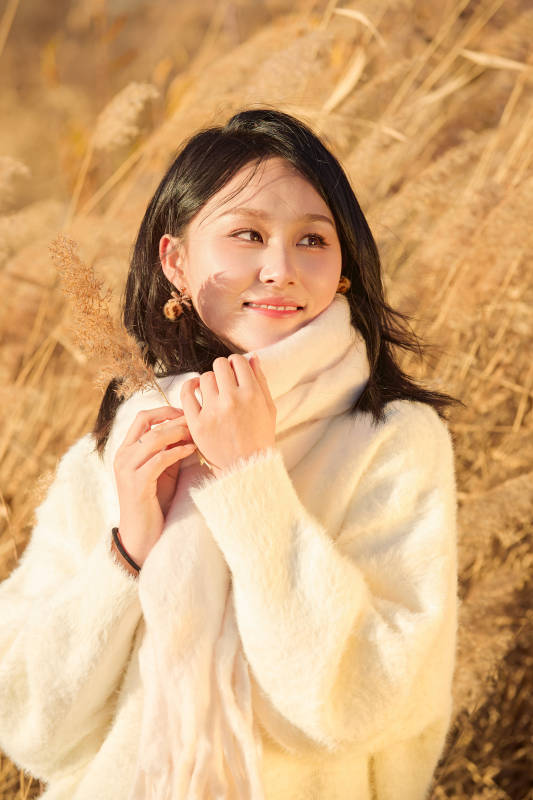 秋天午后在金灿灿的芦苇荡里的亚洲美女