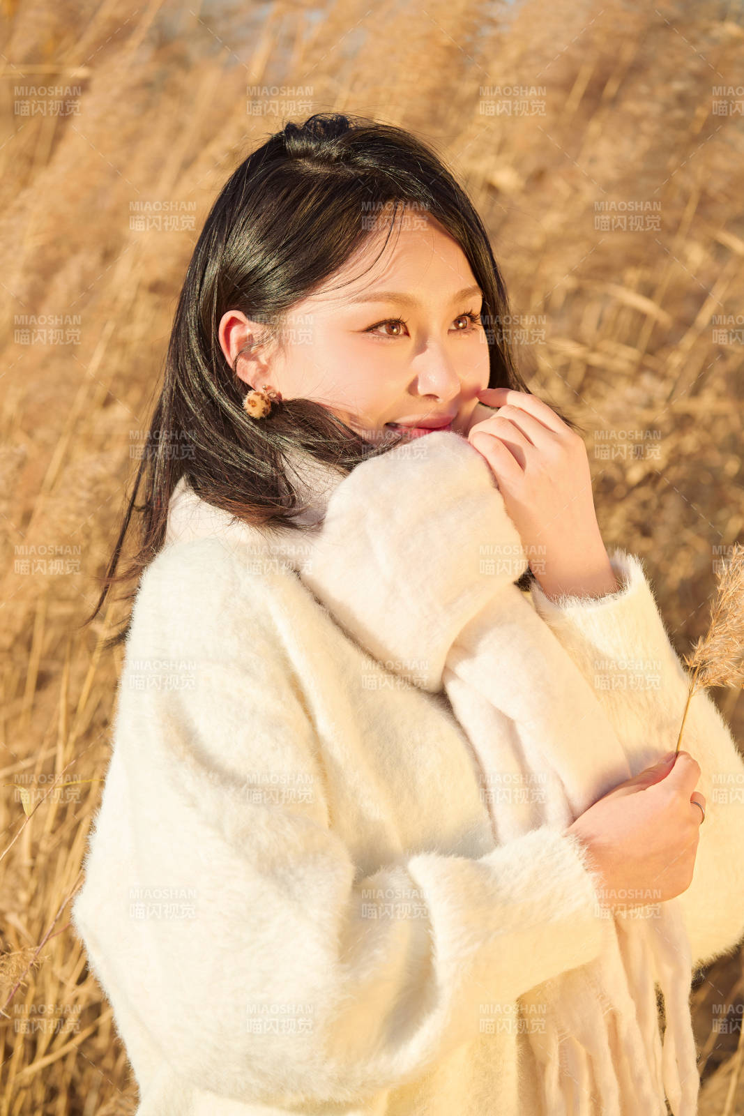 秋天午后在金灿灿的芦苇荡里的亚洲美女