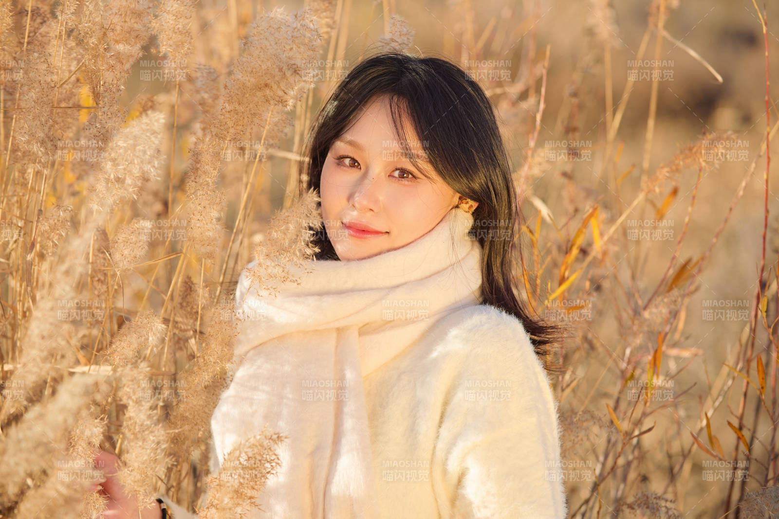 秋天午后在金灿灿的芦苇荡里的亚洲美女