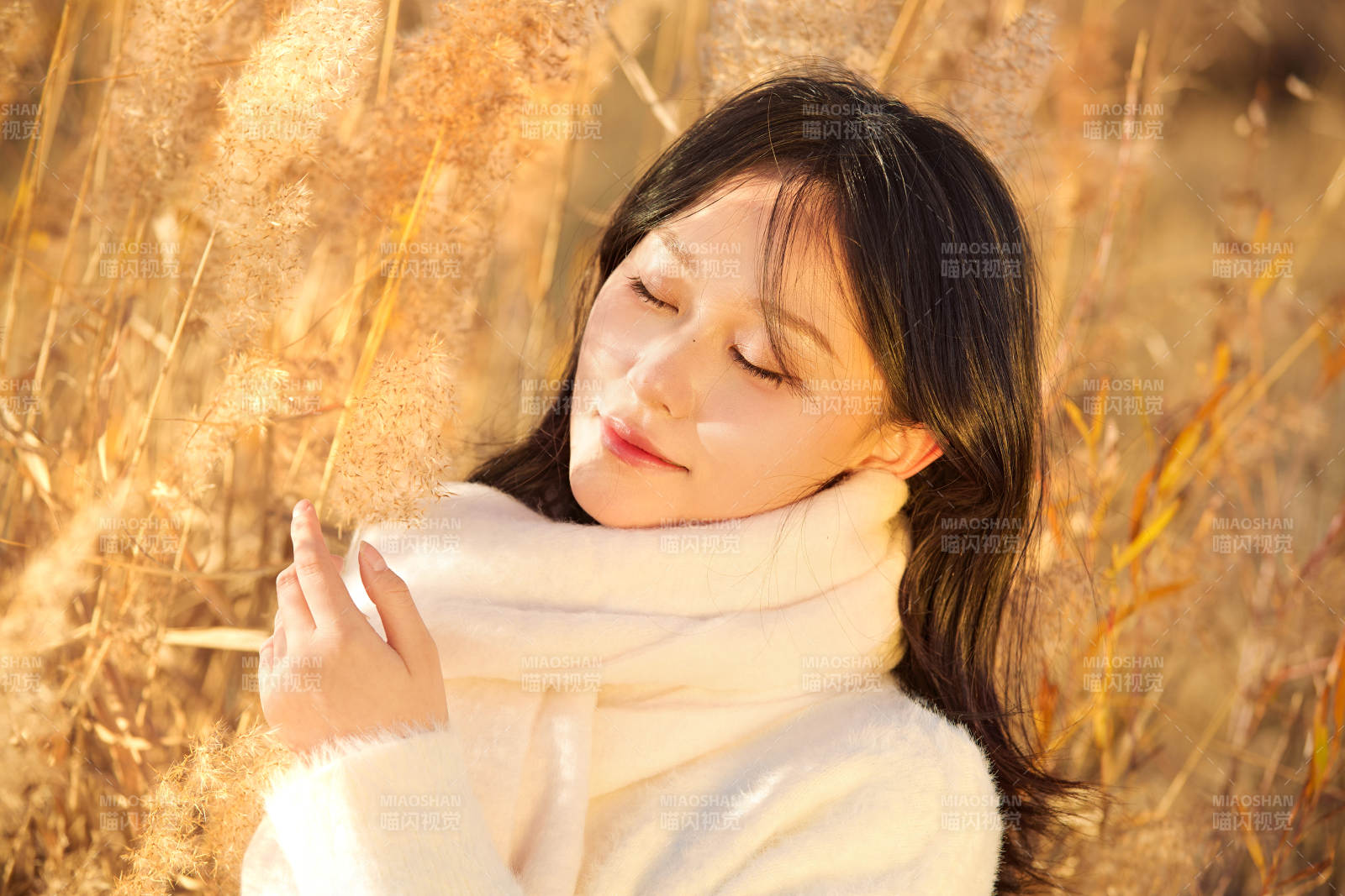 秋天午后在金燦燦的蘆葦蕩里的亞洲美女