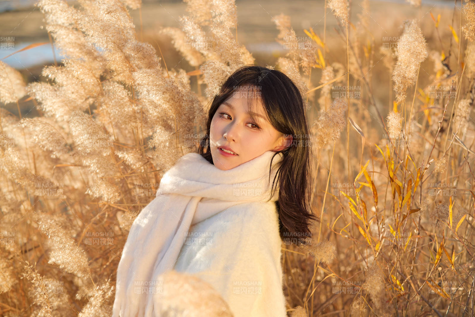 秋天午后在金灿灿的芦苇荡里的亚洲美女