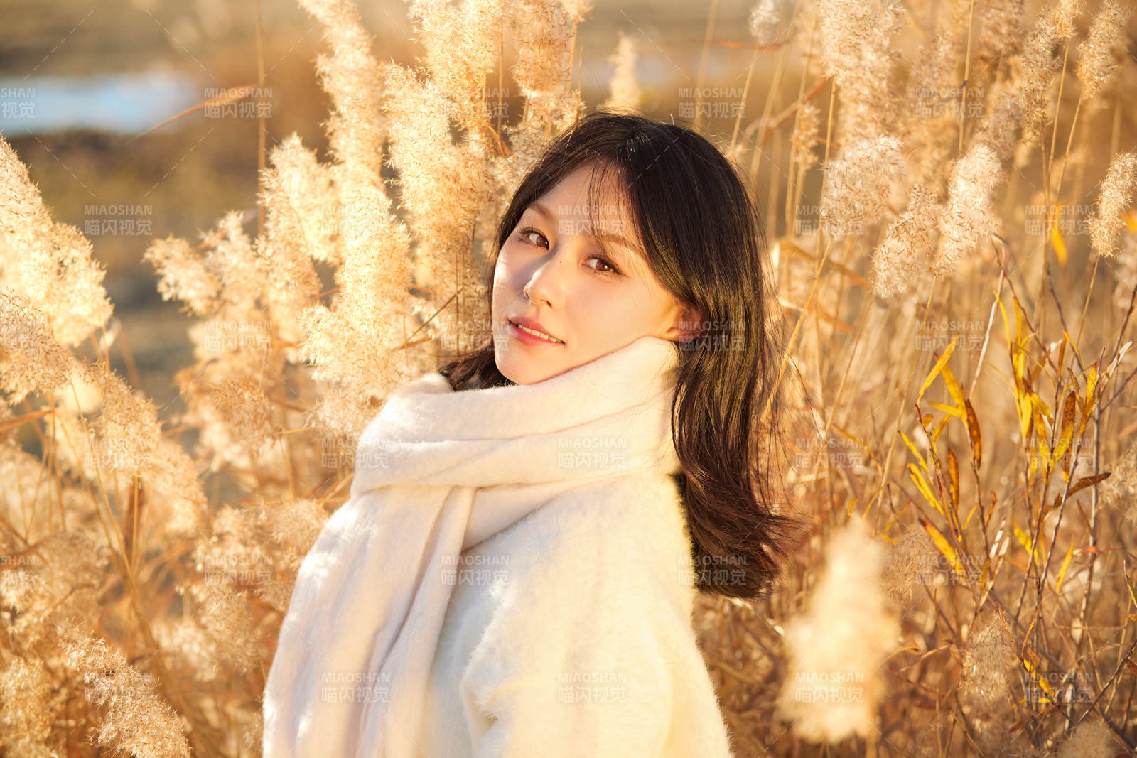 秋天午后在金灿灿的芦苇荡里的亚洲美女