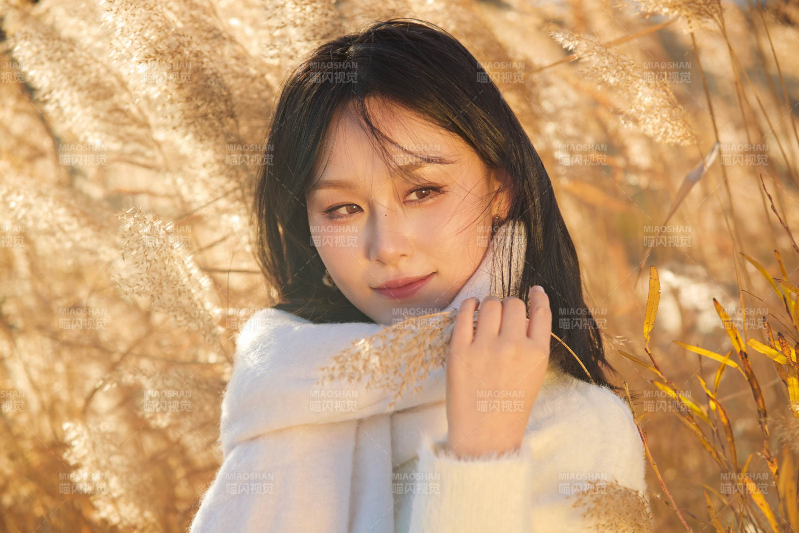 秋天午后在金灿灿的芦苇荡里的亚洲美女