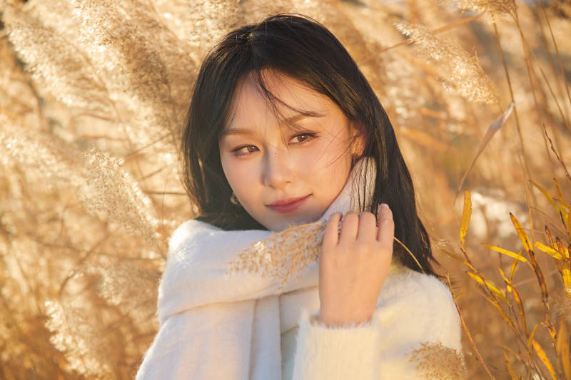 秋天午后在金灿灿的芦苇荡里的亚洲美女