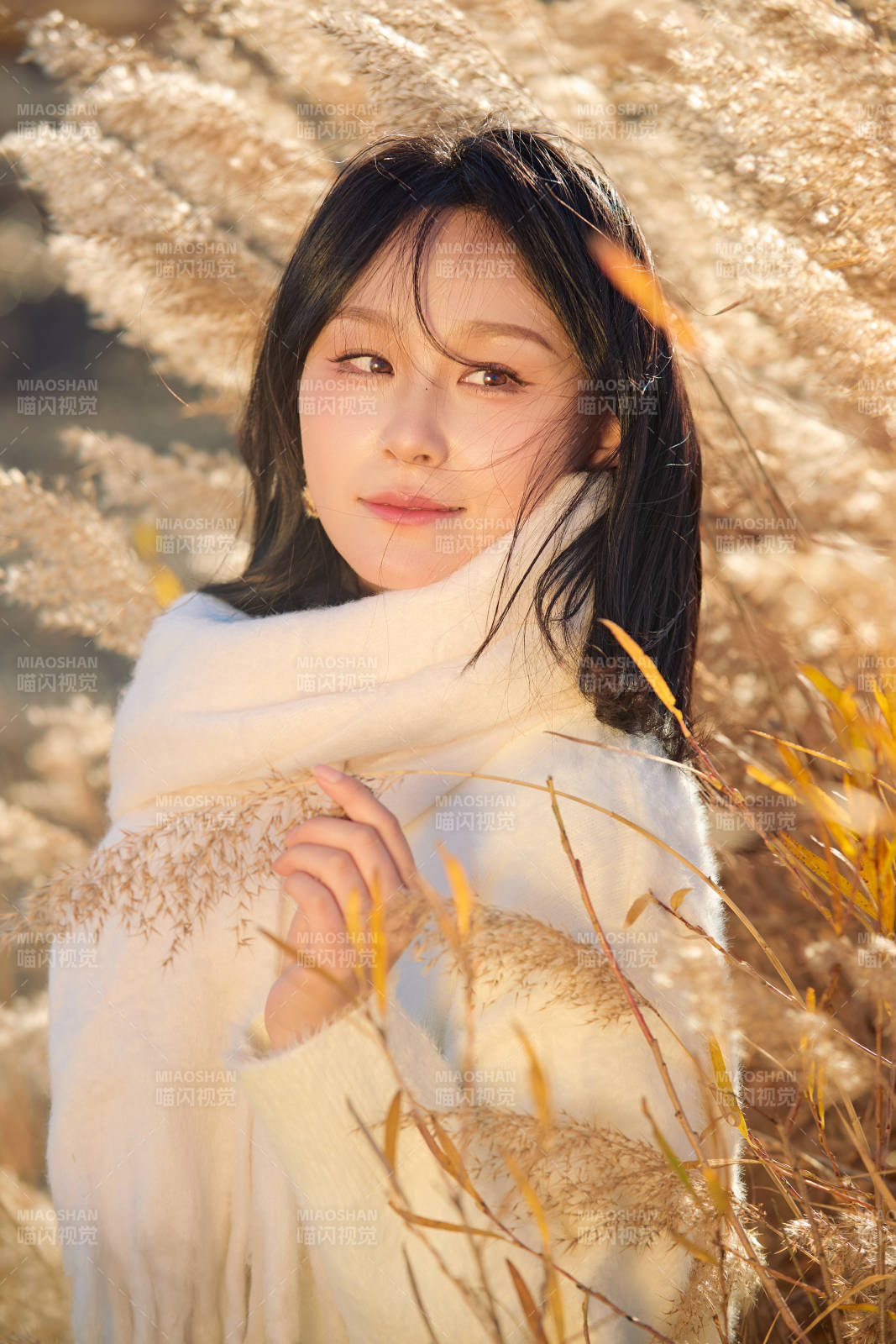 秋天午后在金灿灿的芦苇荡里的亚洲美女