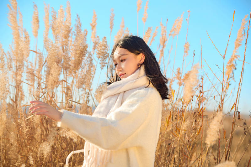 秋天晴朗的午后在芦苇荡里起舞的美女