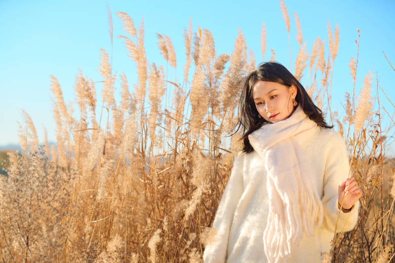 秋天晴朗的午后在芦苇荡里起舞的美女