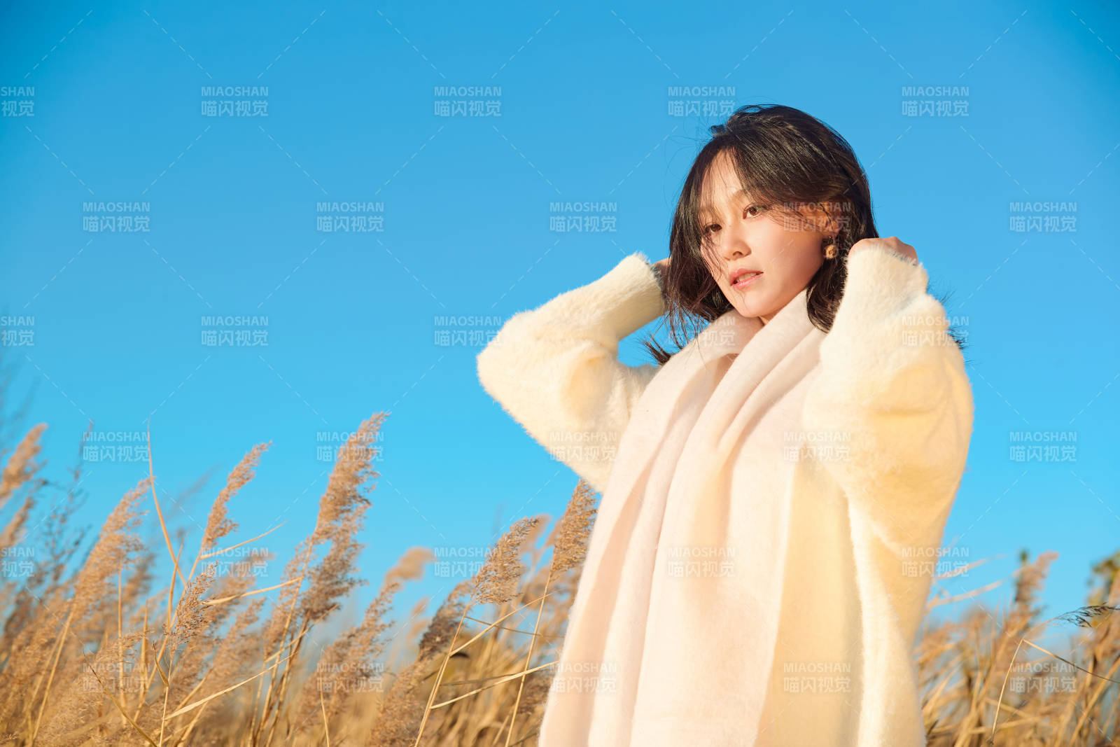 秋天晴朗的午后在芦苇荡里起舞的美女