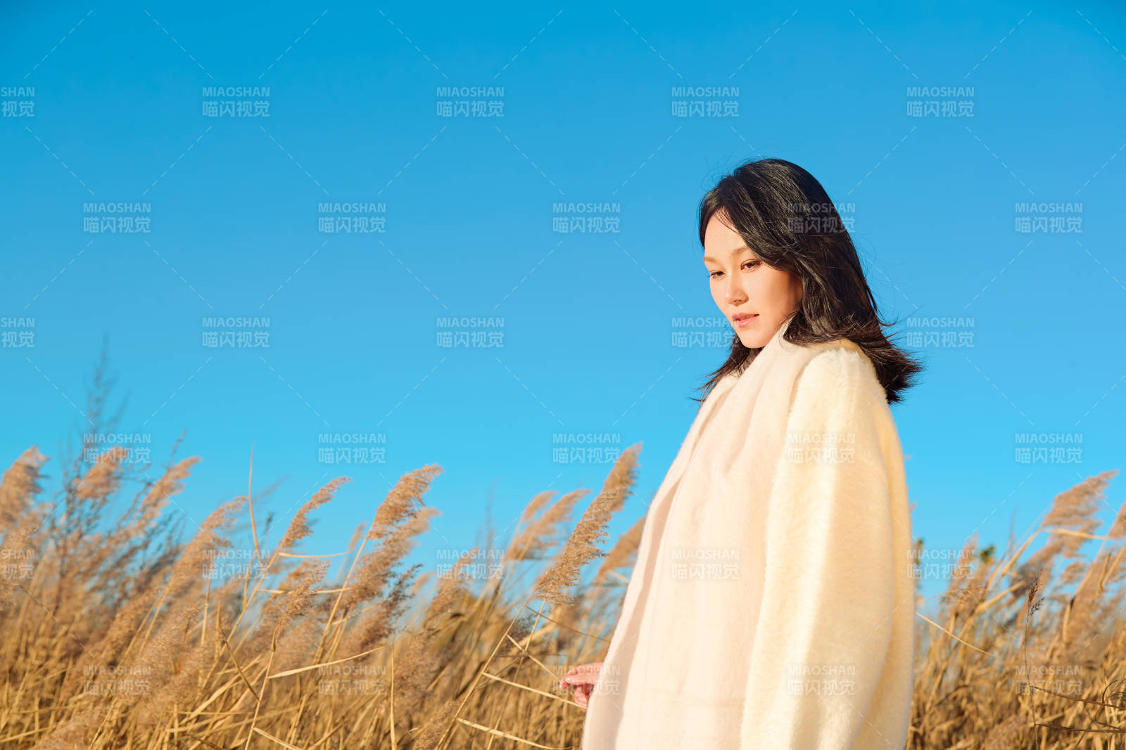 秋天晴朗的午后在芦苇荡里起舞的美女