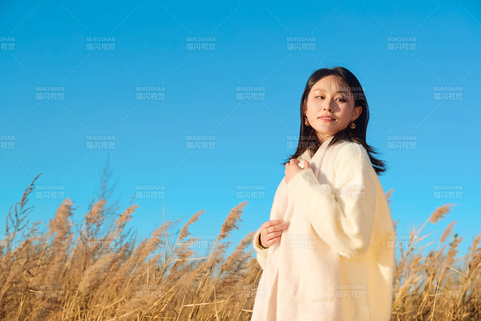 秋天晴朗的午后在芦苇荡里起舞的美女