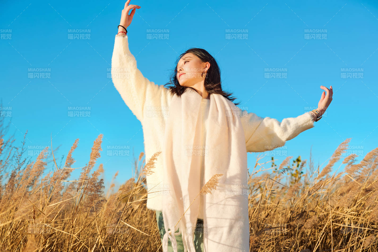 秋天晴朗的午后在芦苇荡里起舞的美女