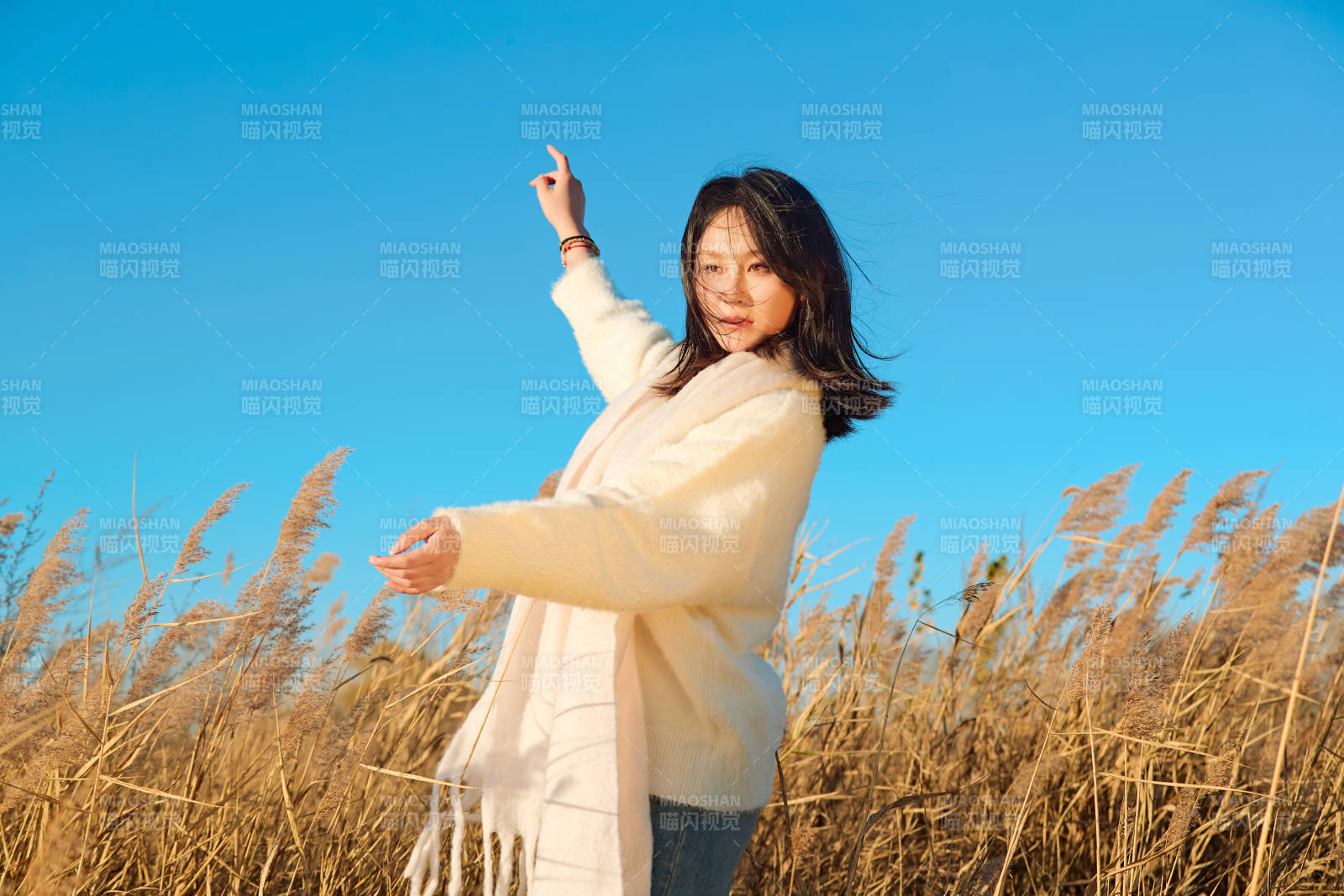 秋天晴朗的午后在芦苇荡里起舞的美女图片