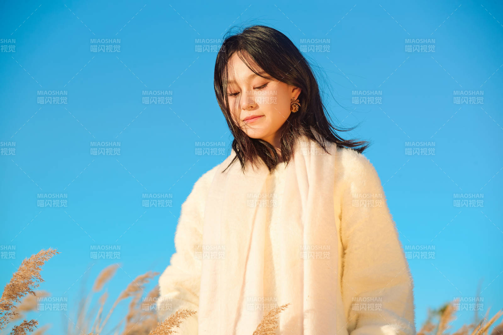 秋天晴朗的午后在芦苇荡里起舞的美女