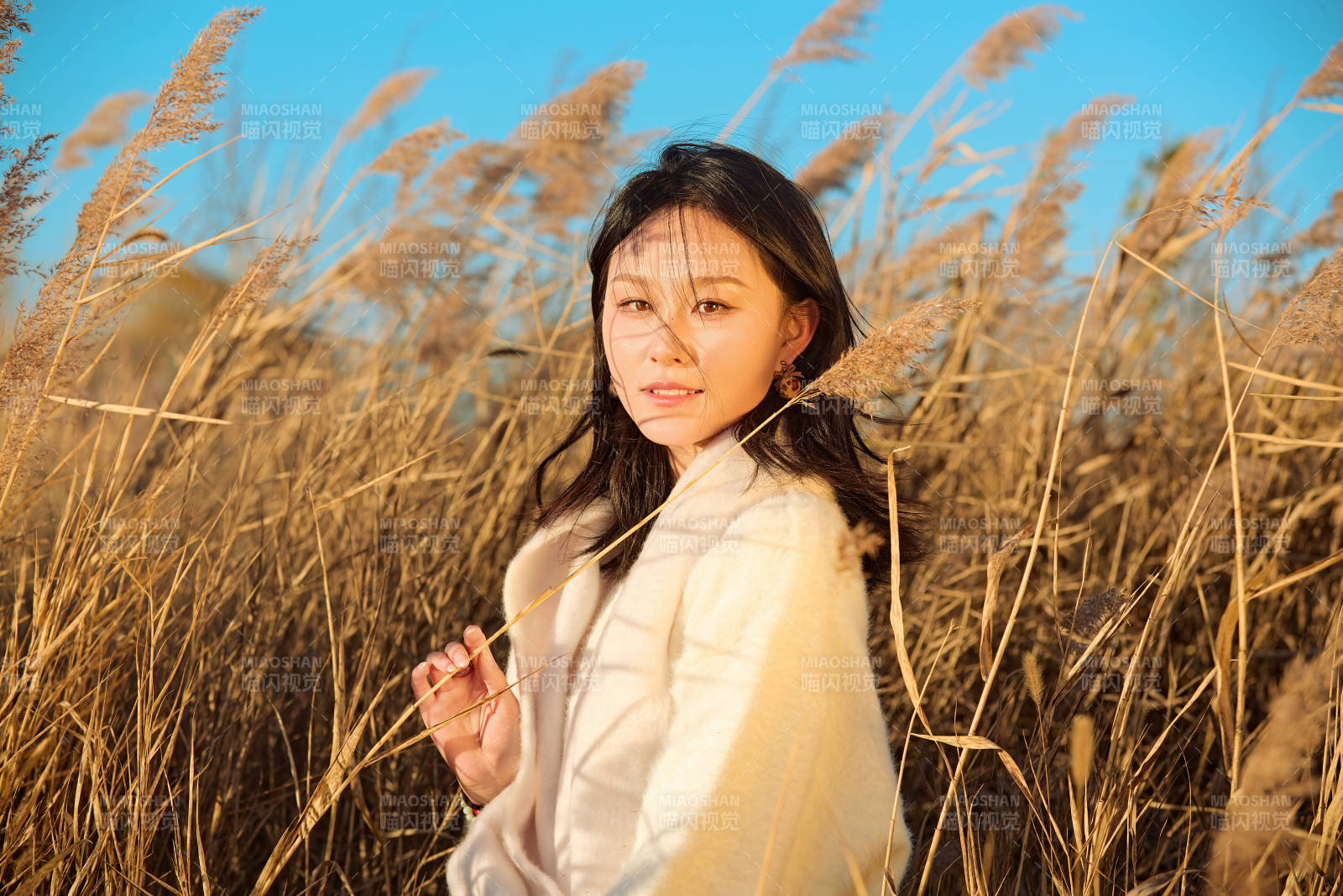 秋天晴朗的午后在蘆葦蕩里起舞的美女