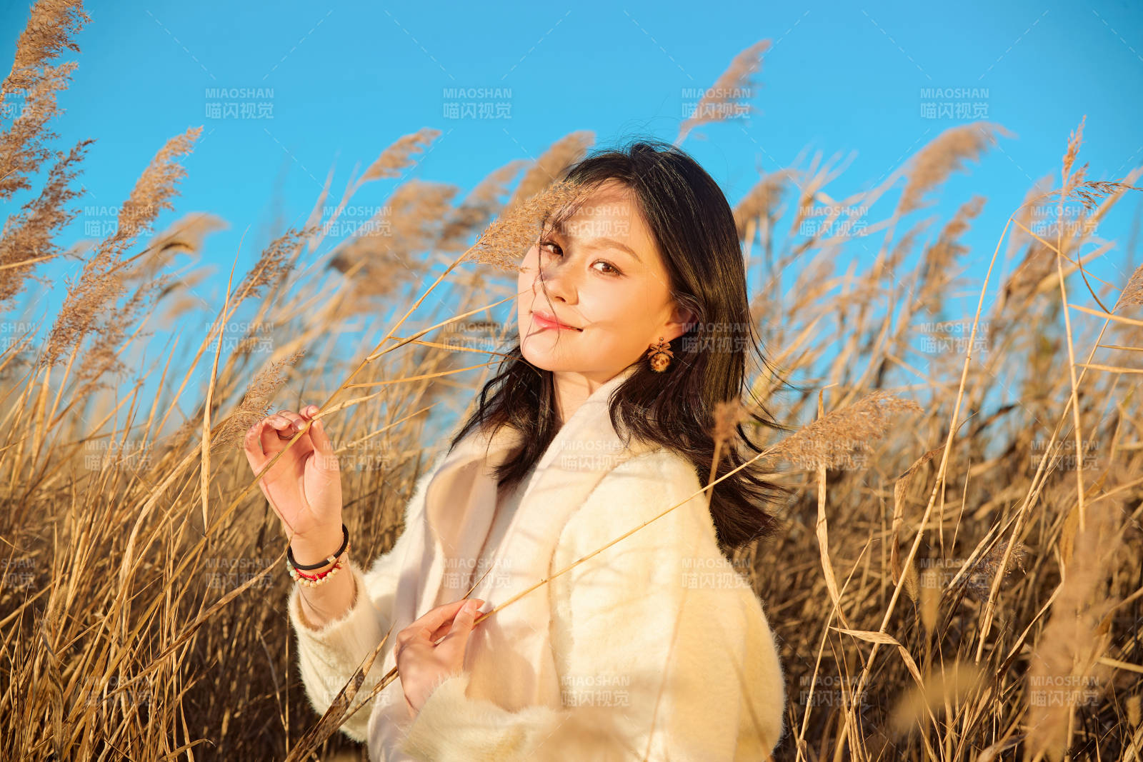 秋天晴朗的午后在芦苇荡里起舞的美女