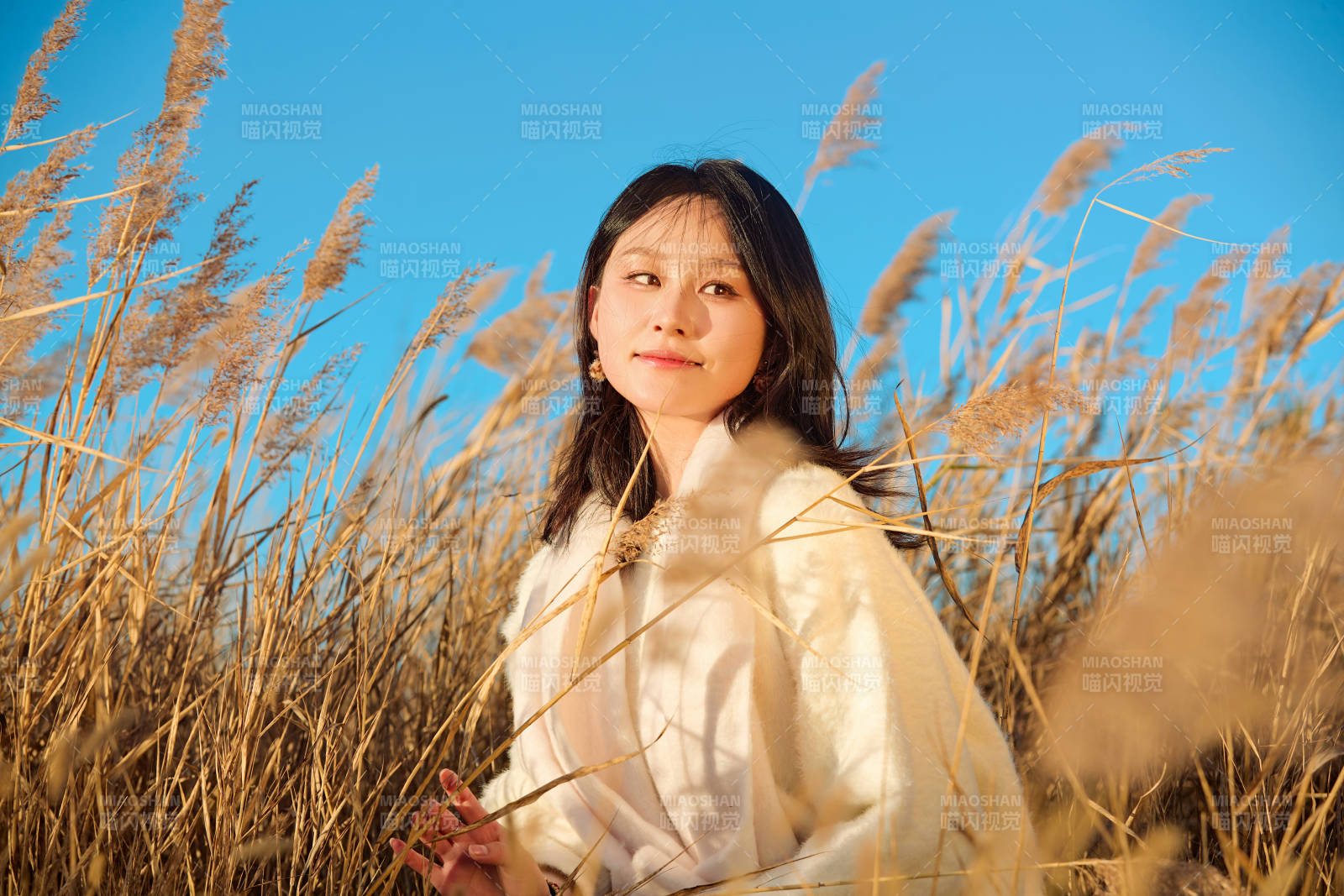 秋天晴朗的午后在芦苇荡里起舞的美女