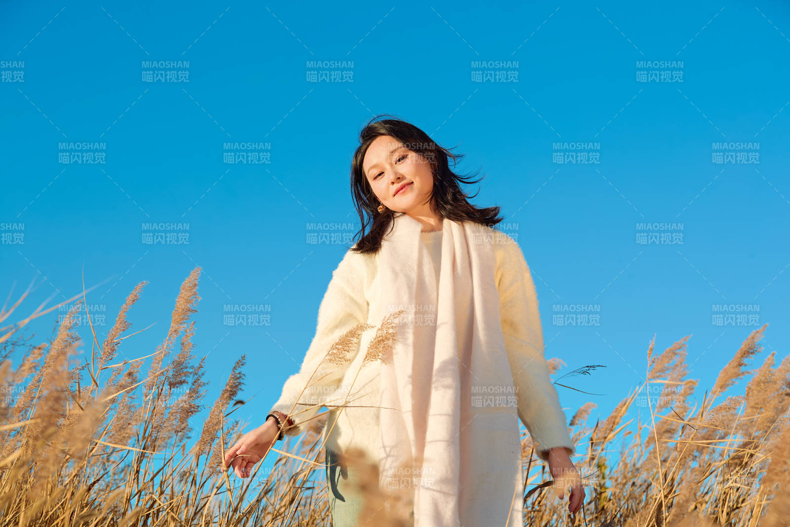 秋天晴朗的午后在芦苇荡里起舞的美女