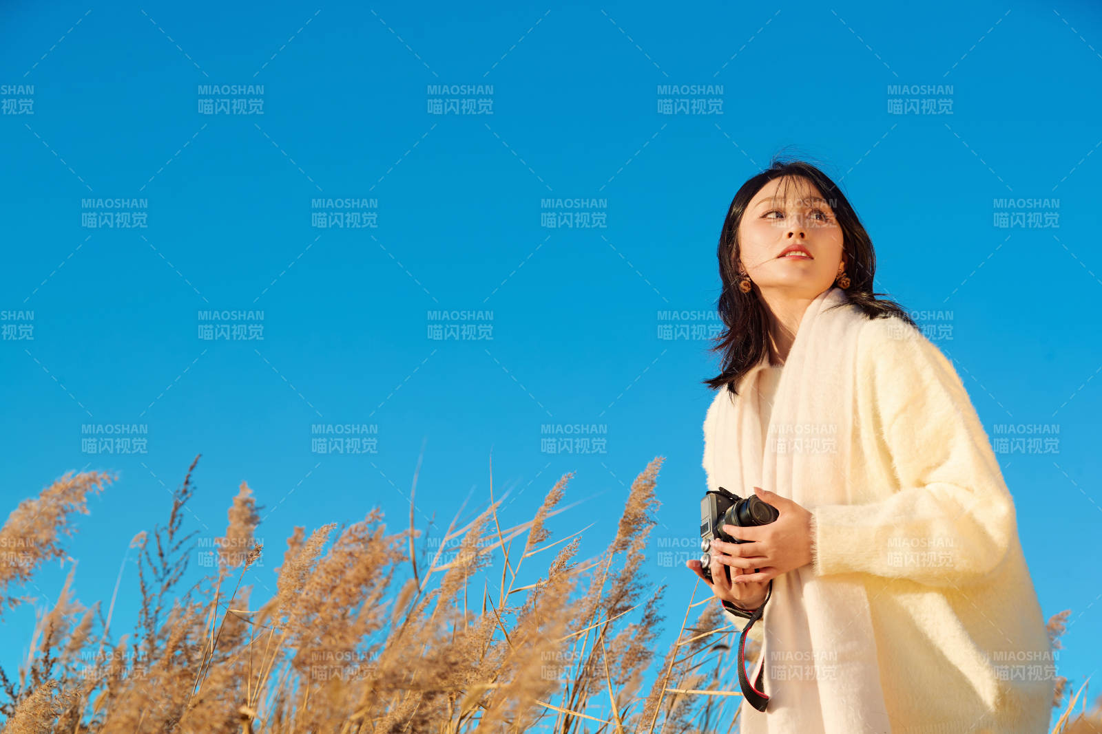 秋天晴朗的午后在芦苇荡里拍照的女性摄影师