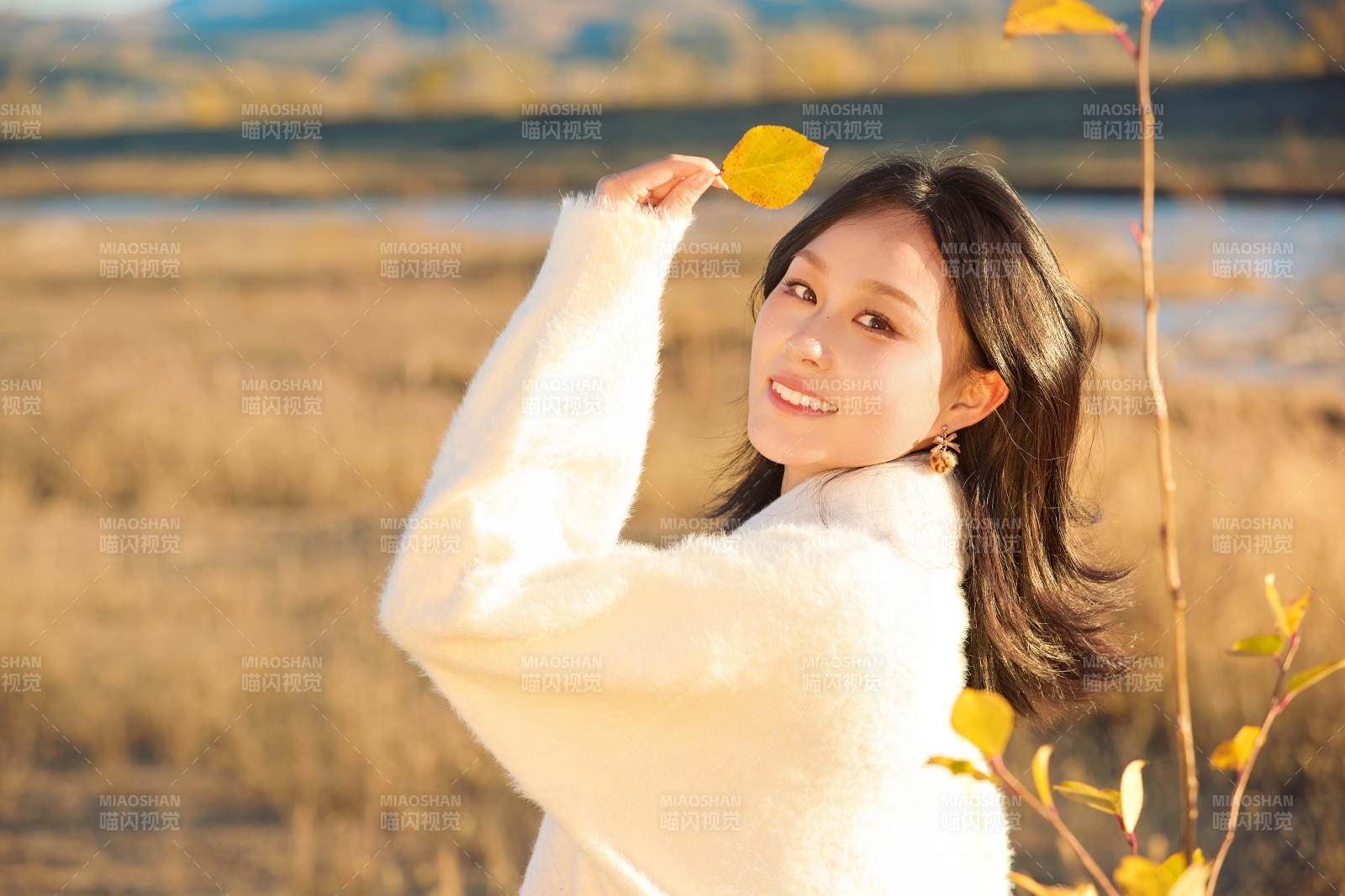 秋天午后在金燦燦的蘆葦蕩里的亞洲美女