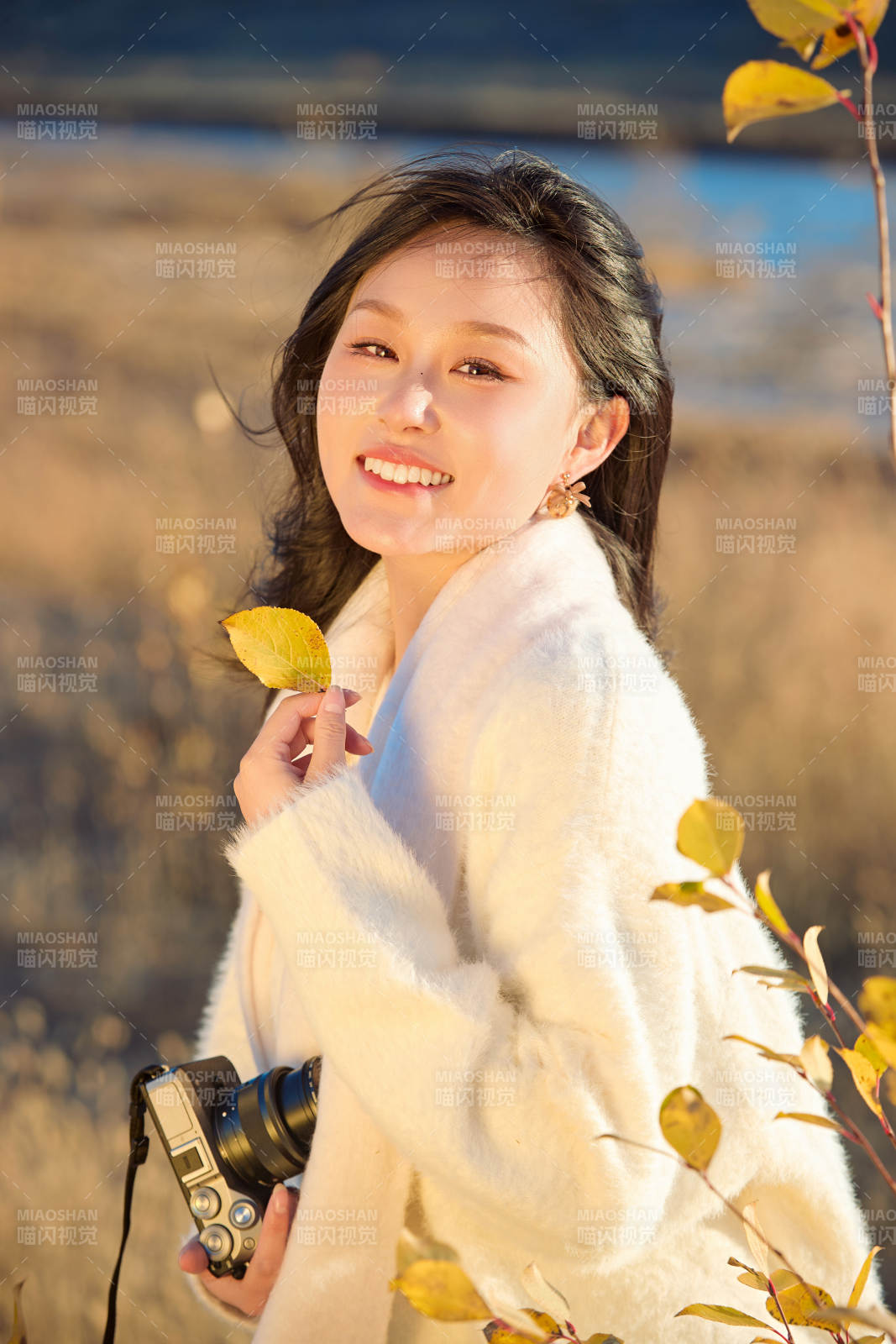 秋天晴朗的午后在芦苇荡里拍照的女性摄影师