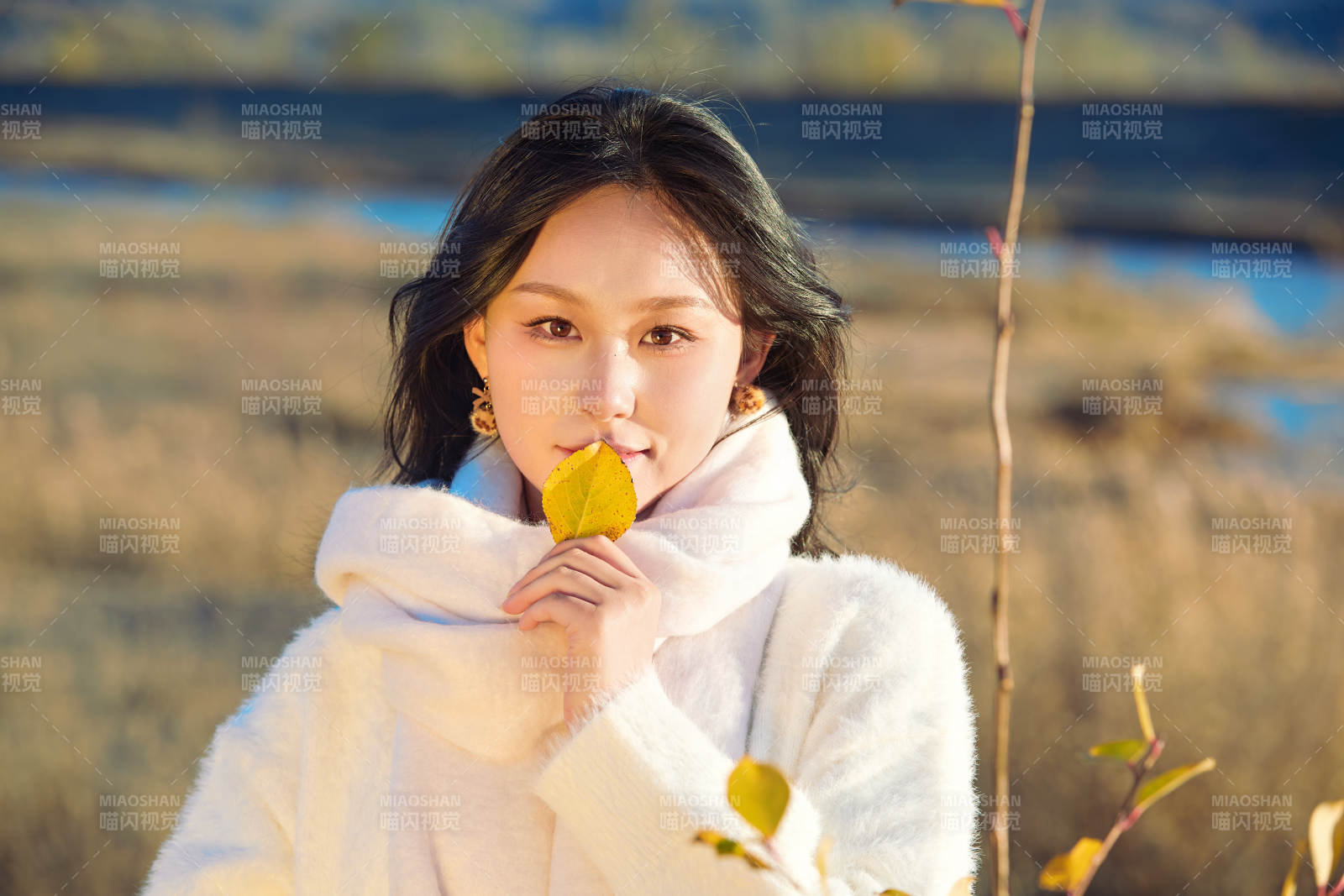 秋天午后在金燦燦的蘆葦蕩里的亞洲美女