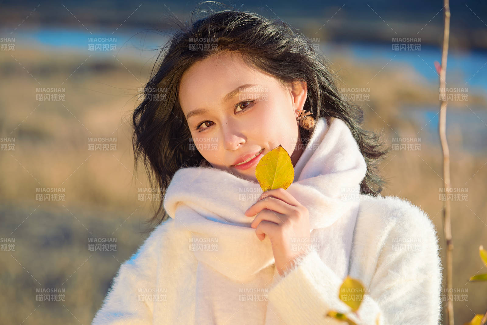 秋天午后在金灿灿的芦苇荡里的亚洲美女