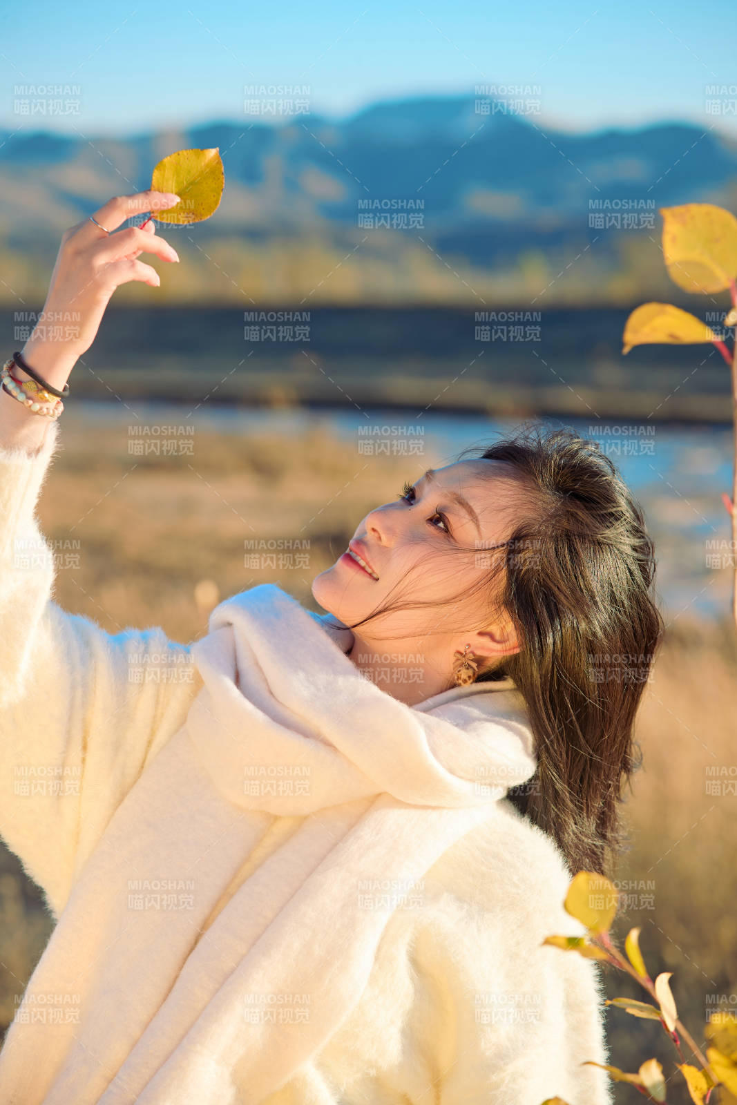 秋天午后在金灿灿的芦苇荡里的亚洲美女