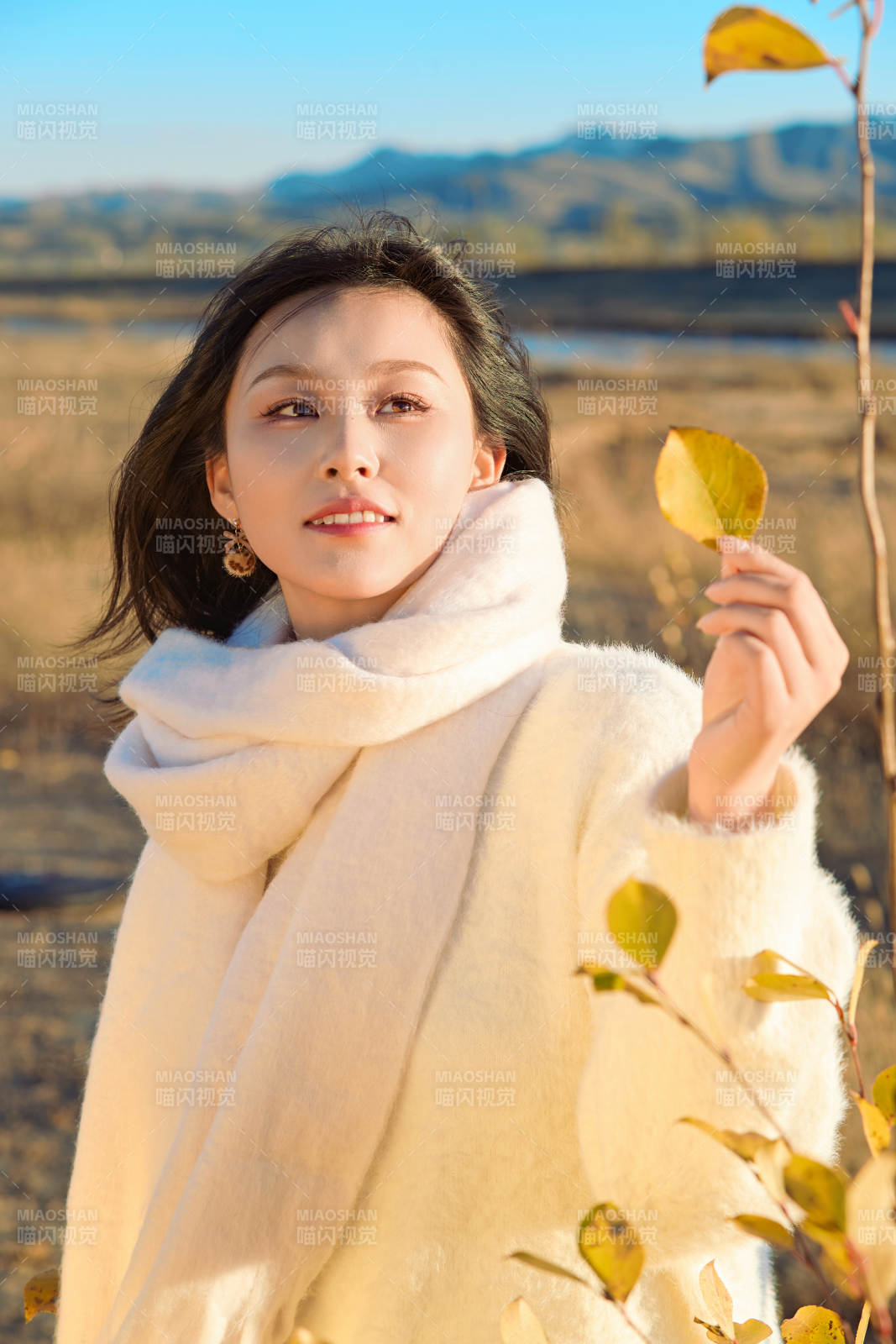 秋天午后在金灿灿的芦苇荡里的亚洲美女