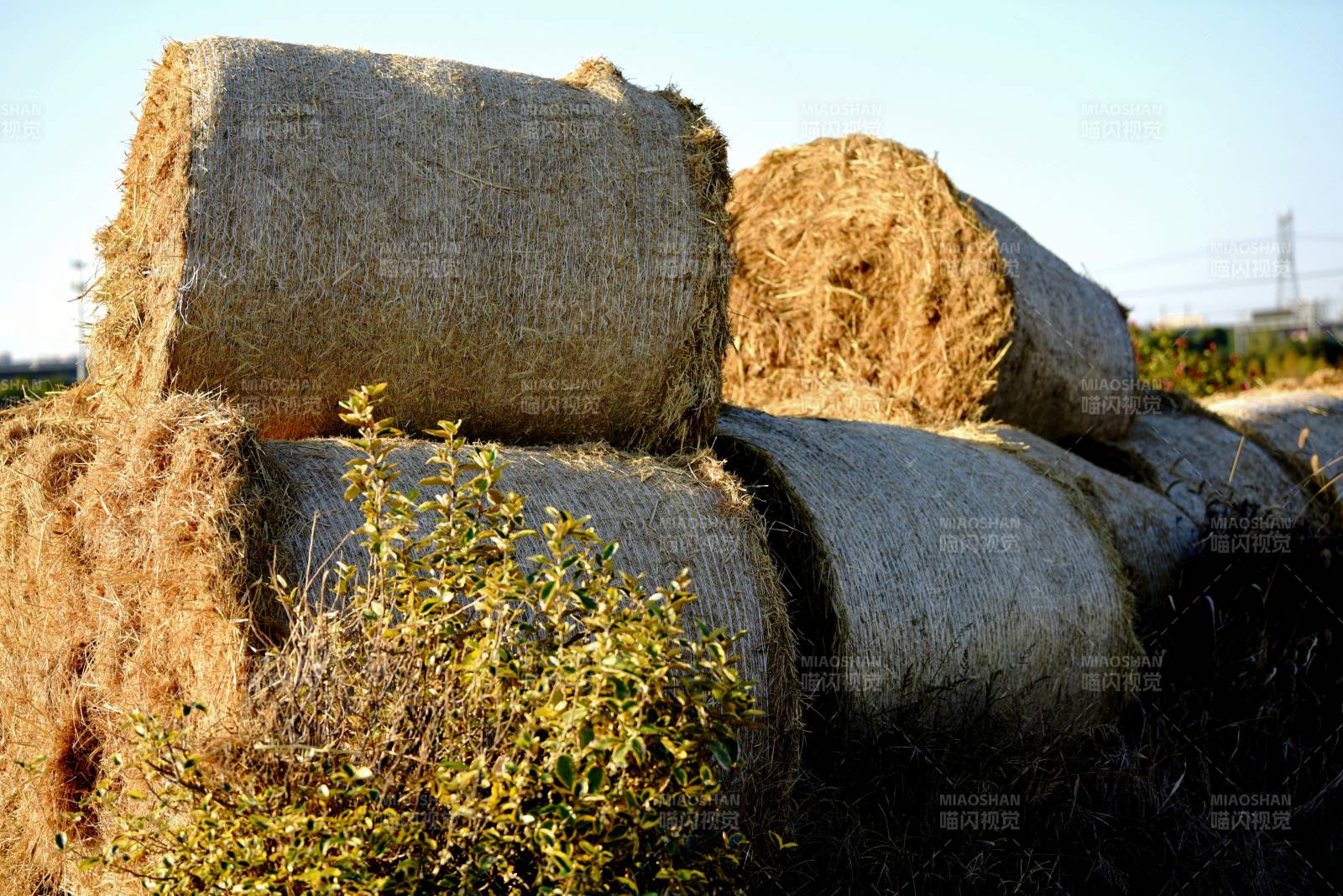 田间草垛静谧景