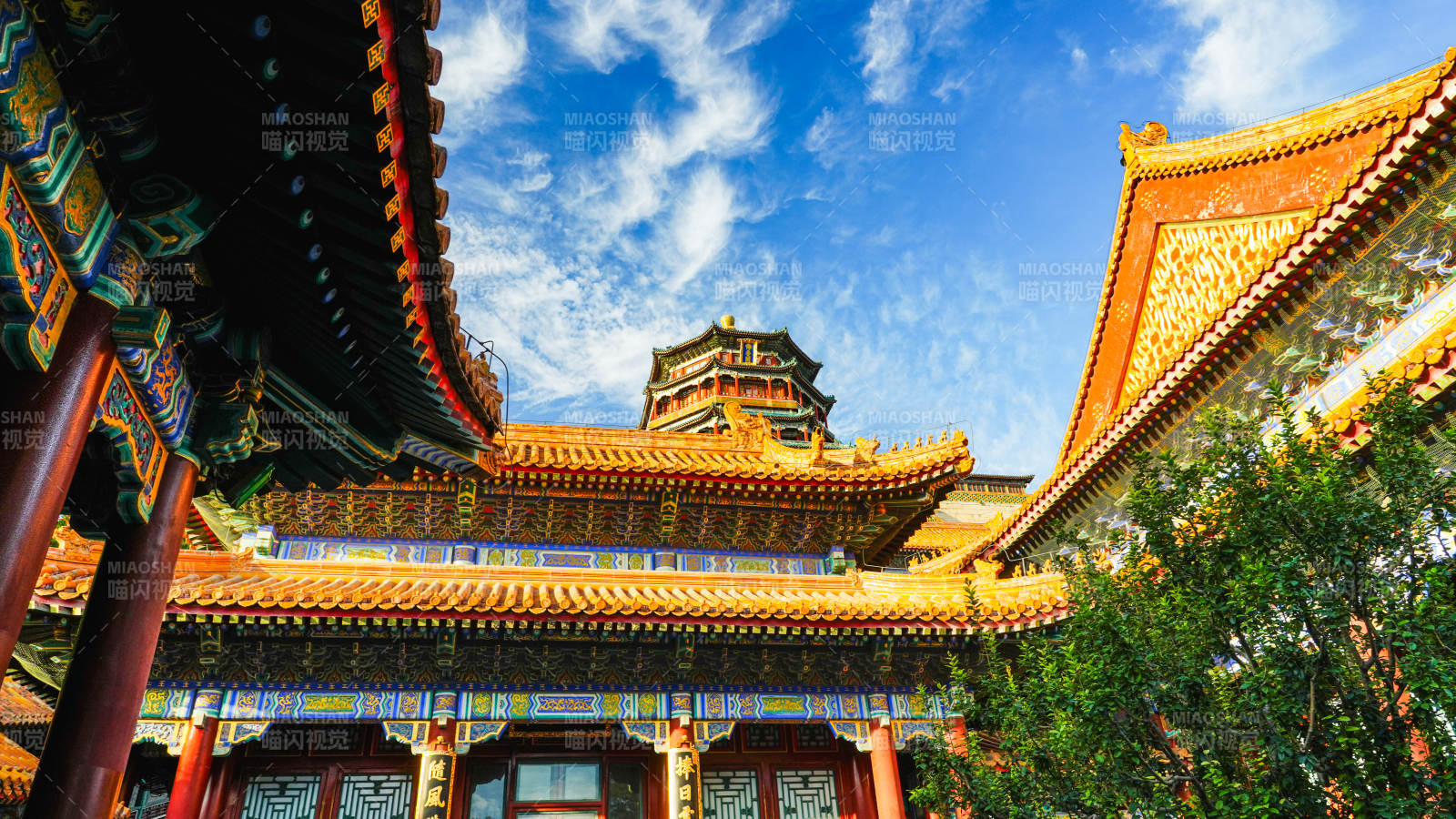 颐和园金顶映蓝天