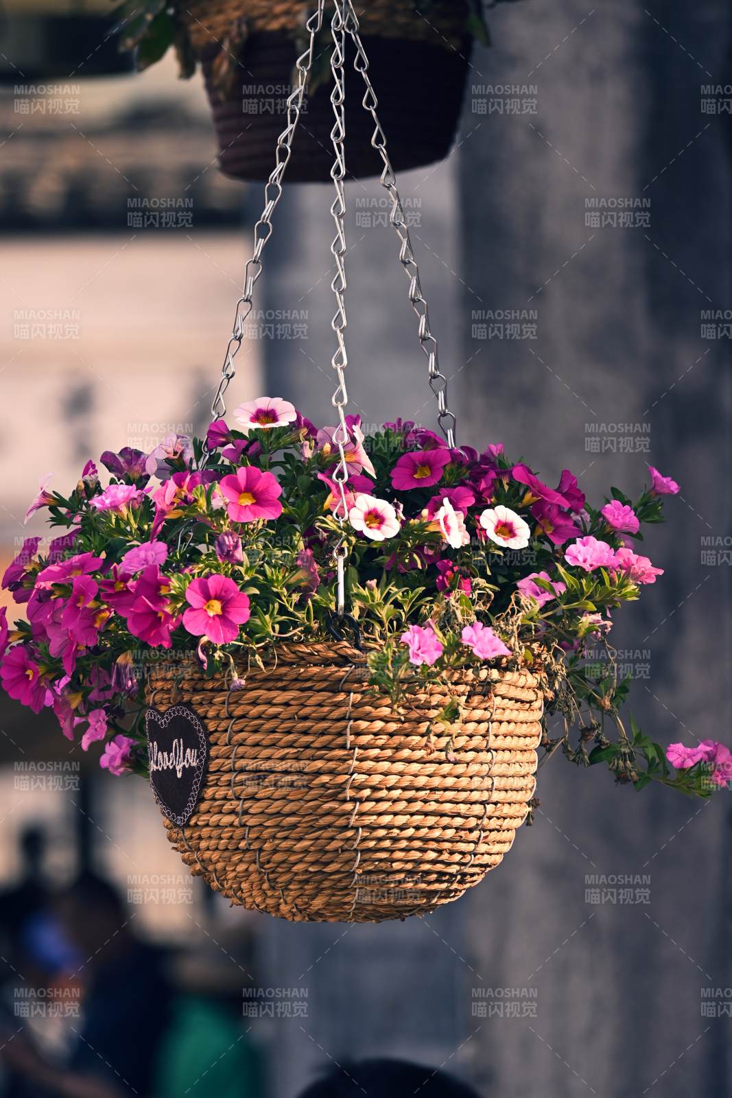 花篮垂挂 繁花似锦