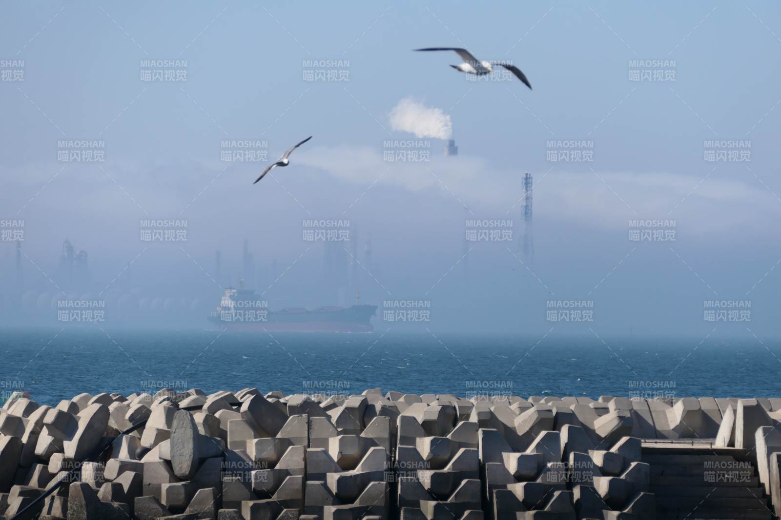 海鷗翱翔港口上空，遠(yuǎn)處霧蒙蒙的工業(yè)區(qū)
