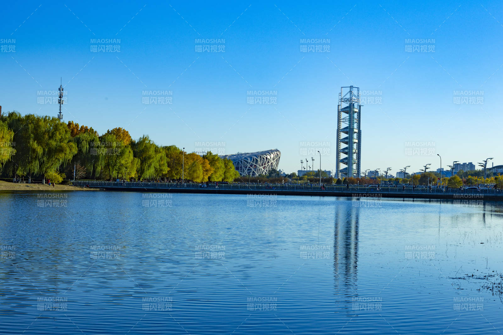 湖畔秋景映塔影鳥巢