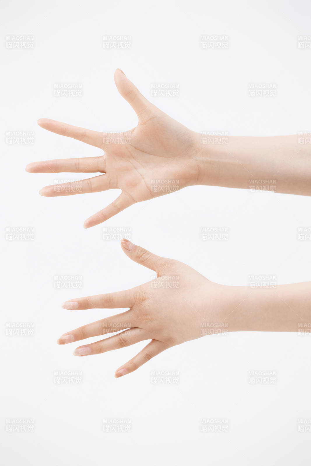 白色背景下纤细柔美的女性手部特写