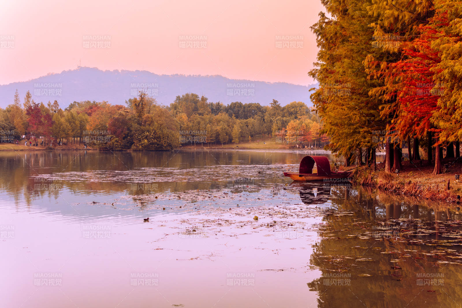 秋天燕雀湖暮色静谧