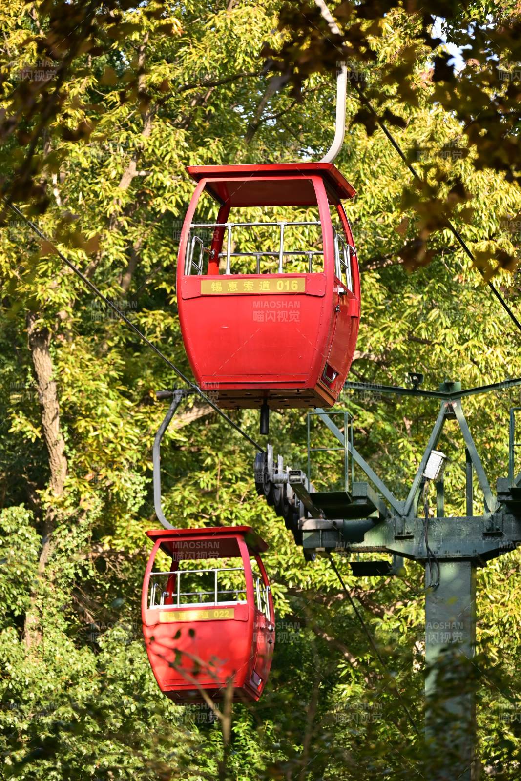 纜車穿梭林間