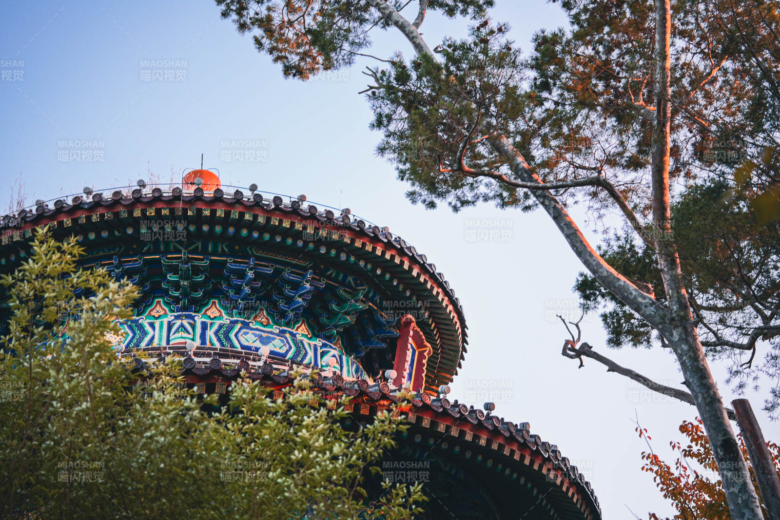 古塔蓝天秋景-摄影图