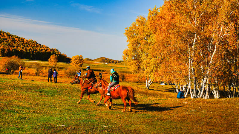 乌兰布统秋日骑马赏景