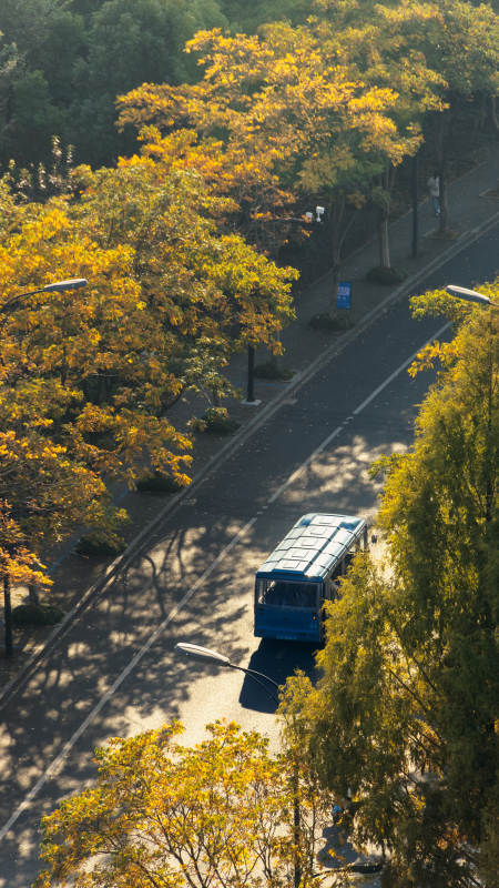 秋日公交穿林行