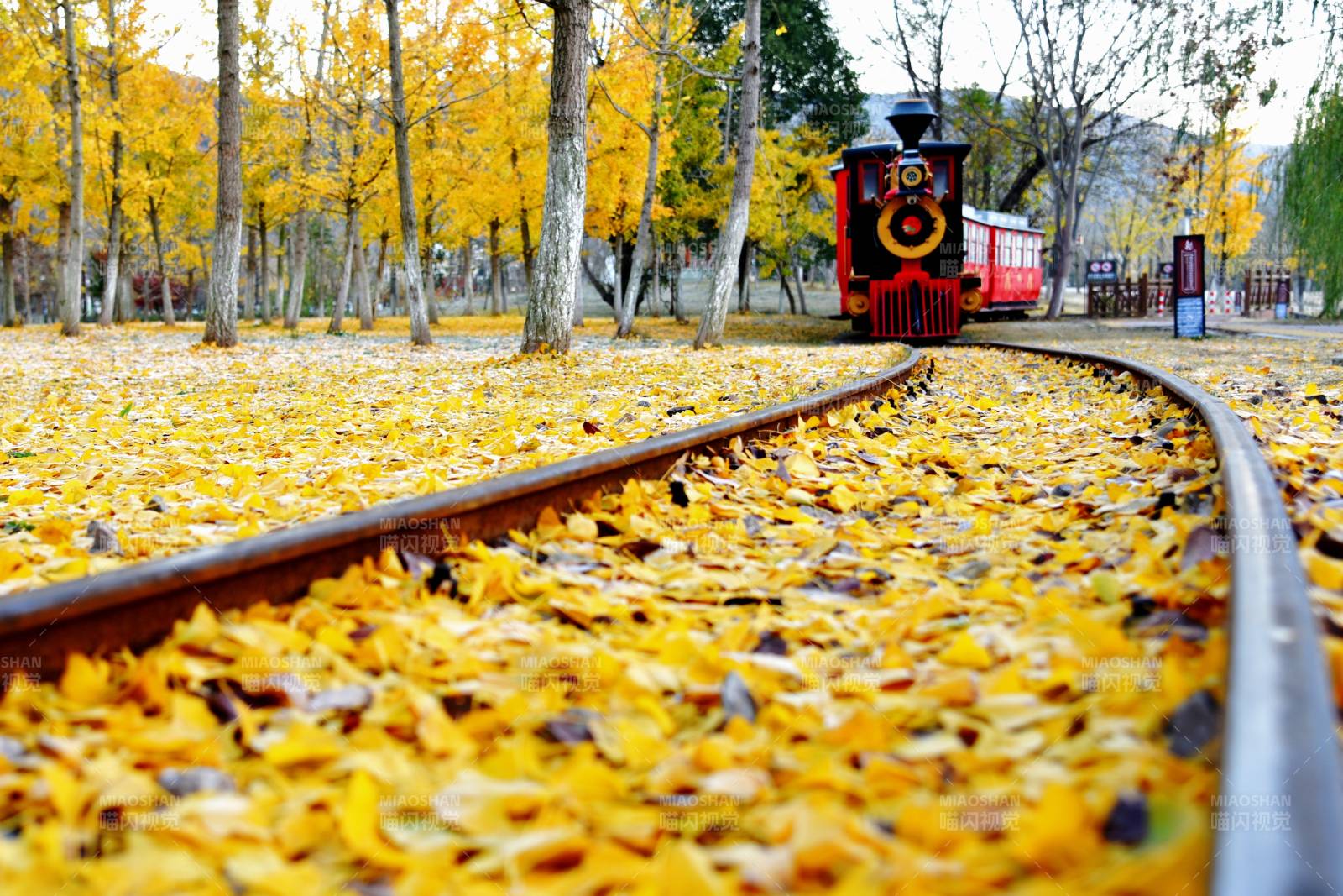 秋叶中的小火车